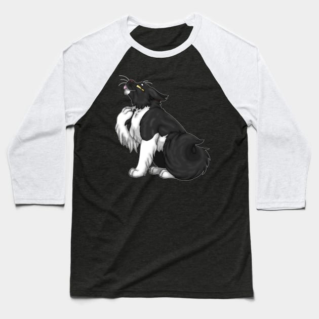 Tuxedo Bicolor Longhair Baseball T-Shirt by spyroid101